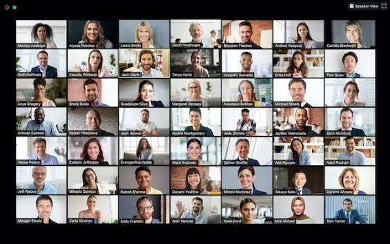 Zoom 画廊视图与演讲者视图